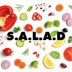 Cover image for the album RECIPE by S.A.L.A.D