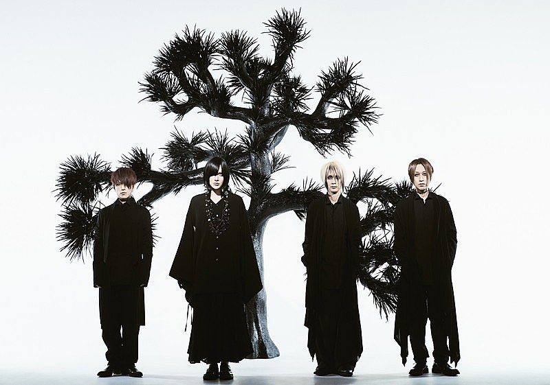Plastic Tree Latin America Tour 2027 -Replay- tour artwork