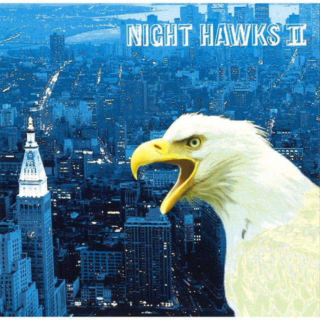 NIGHT HAWKS II album cover
