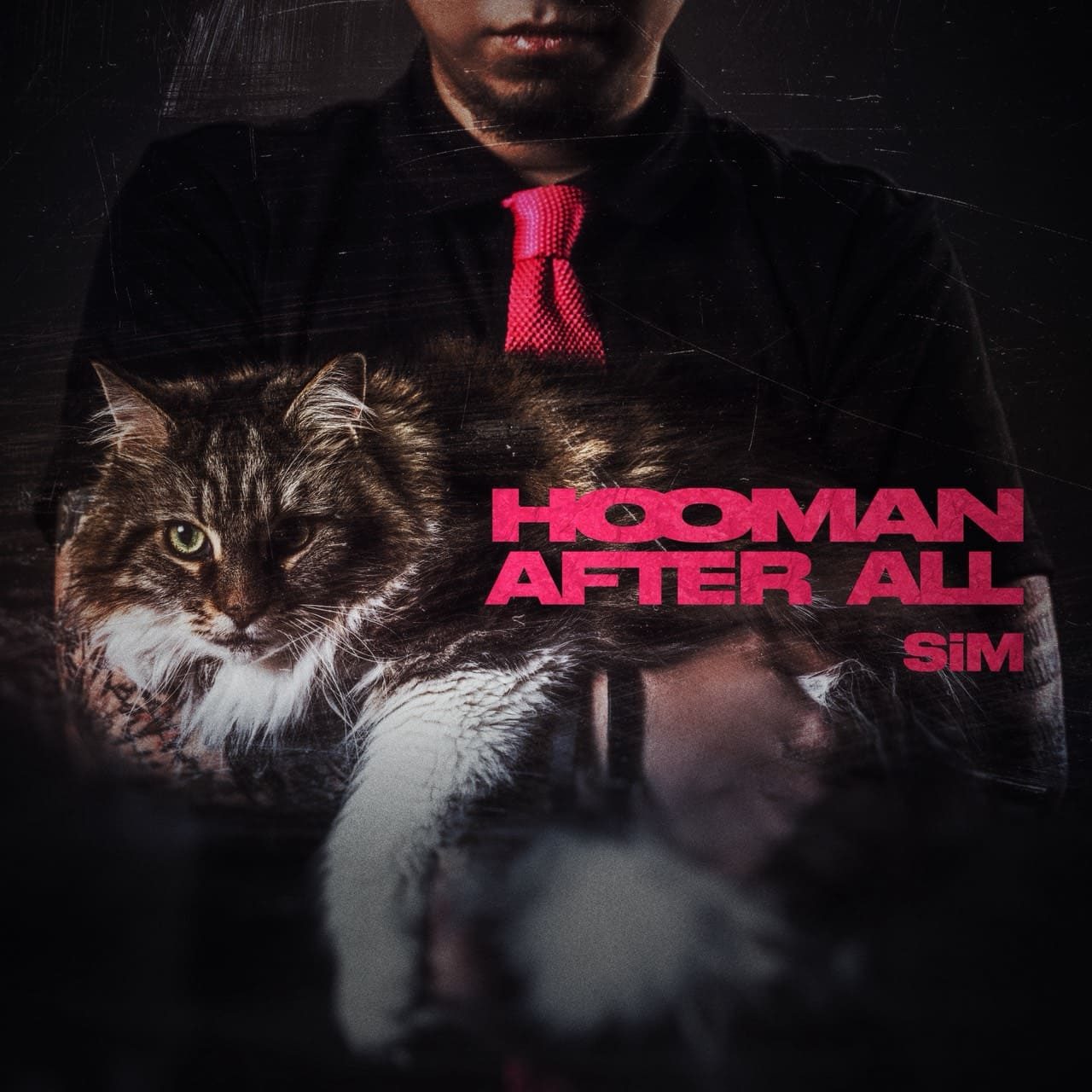 SiM — HOOMAN AFTER ALL cover